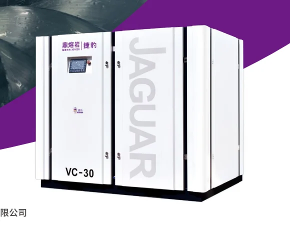 VC PM VSD Screw Vacuum Pump — Dedicated screw vacuum air end