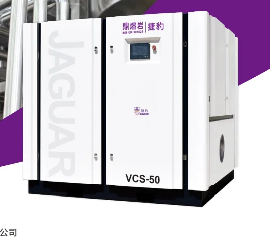 VCS Oil-Free Screw Vacuum Pump — Stainless inlet filter